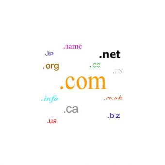 域名（英语：Domain Name），又称网域